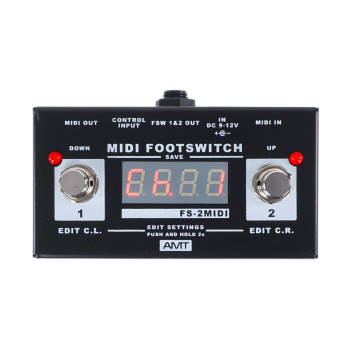 AMT Electronics FS-2 MIDI Footswitch
