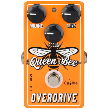 Caline Queen Bee Overdrive