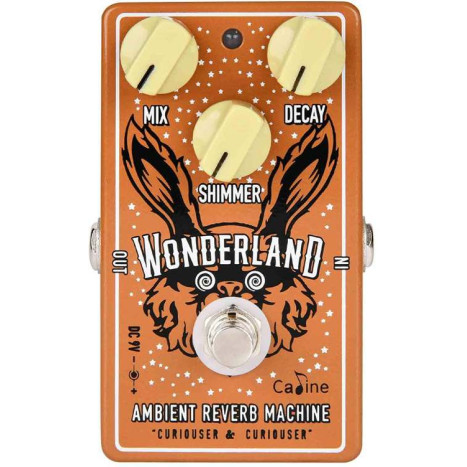 only pedals has caline cp-508 wonderland ambient reverb 53