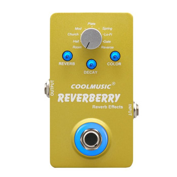 CoolMusic Reverberry Digital Multi Reverb 